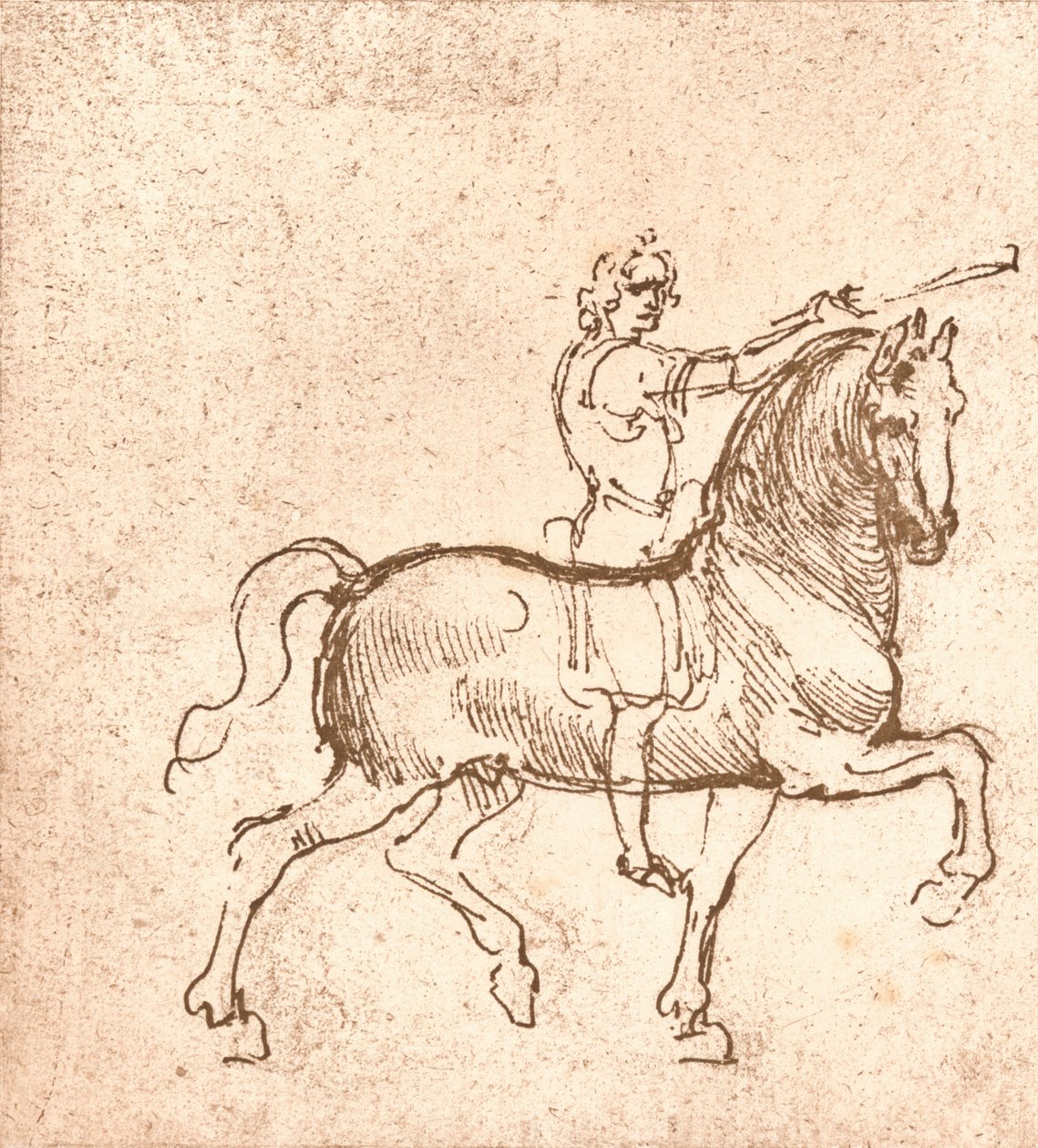 Dibujo de un caballo caminando, c1472-c1519 1883 de Leonardo da Vinci