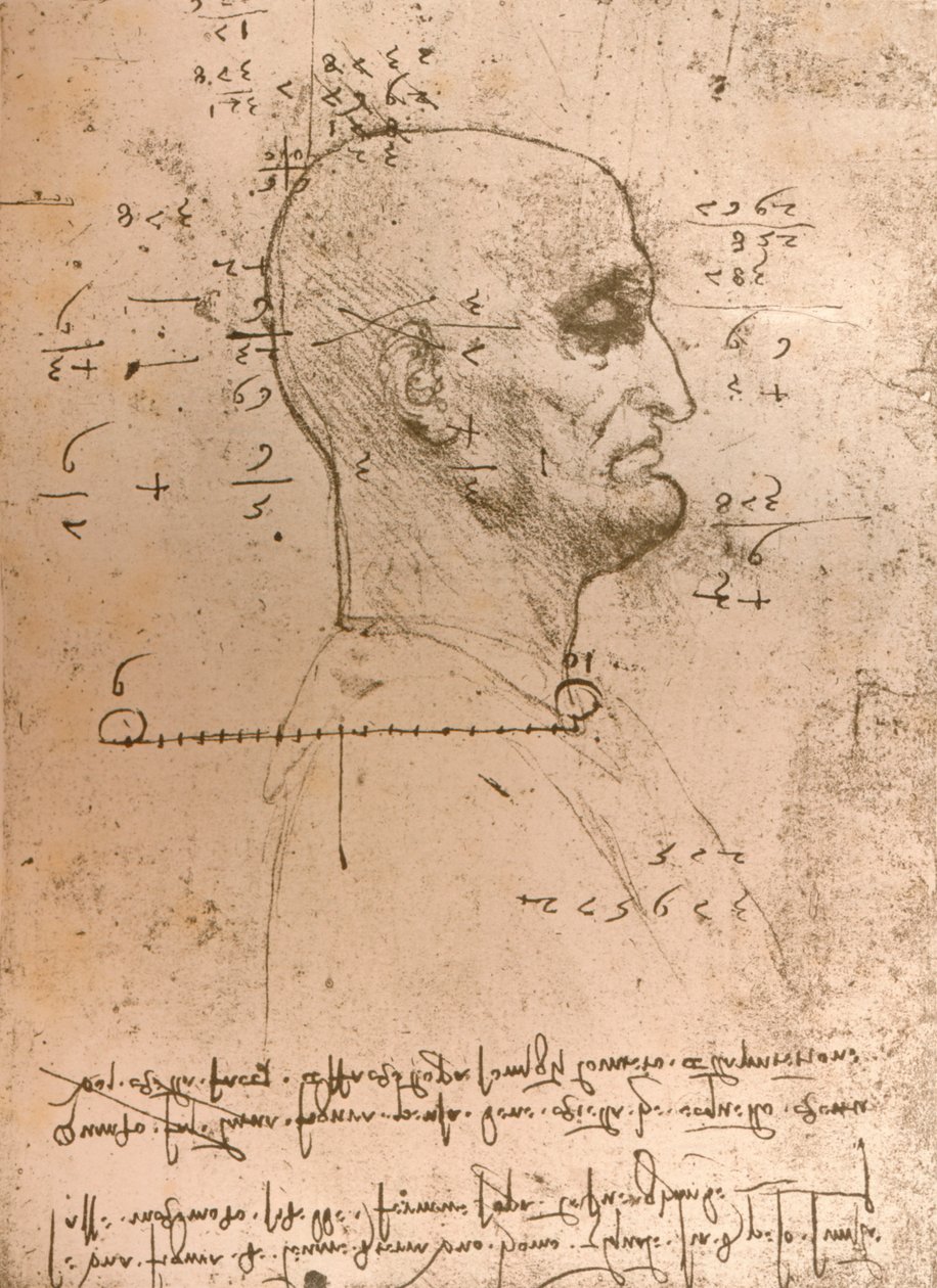 Dibujo de la cabeza de un criminal, c1472-c1519 1883 de Leonardo da Vinci