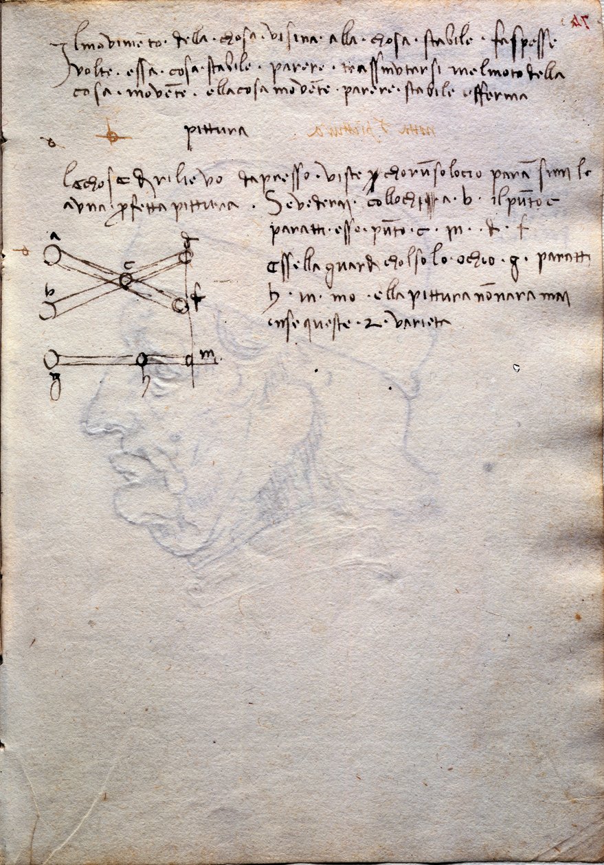 Extracto del libro de pinturas, del Codex Trivulzianus de Leonardo da Vinci