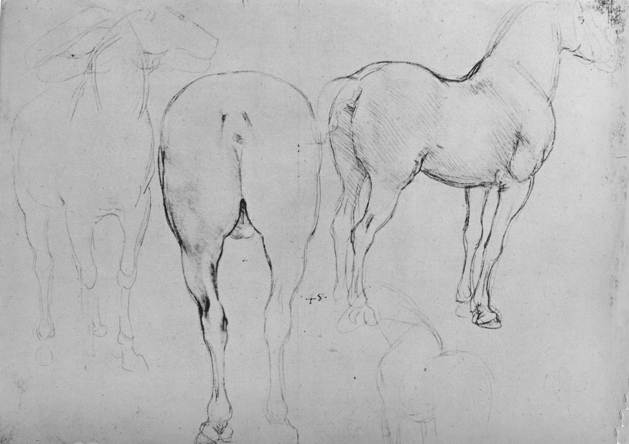 Cuatro bocetos de caballos, c1480 1945 de Leonardo da Vinci
