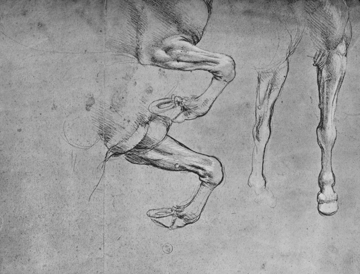 Cuatro estudios de patas de caballos, c1480 de Leonardo da Vinci