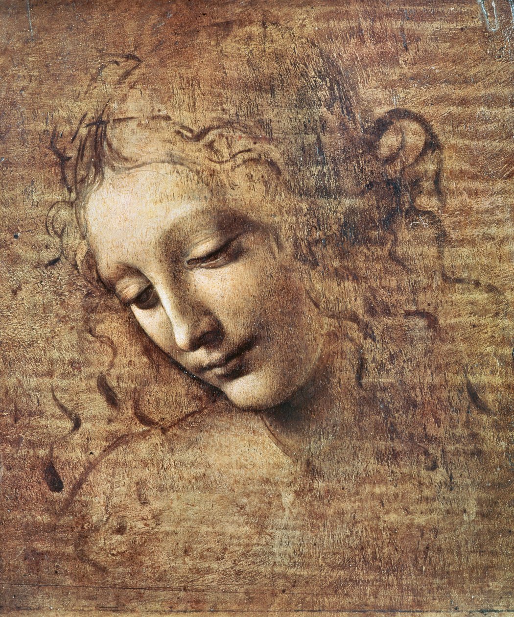 Cabeza de una Joven con Cabello Despeinado o, Leda de Leonardo da Vinci