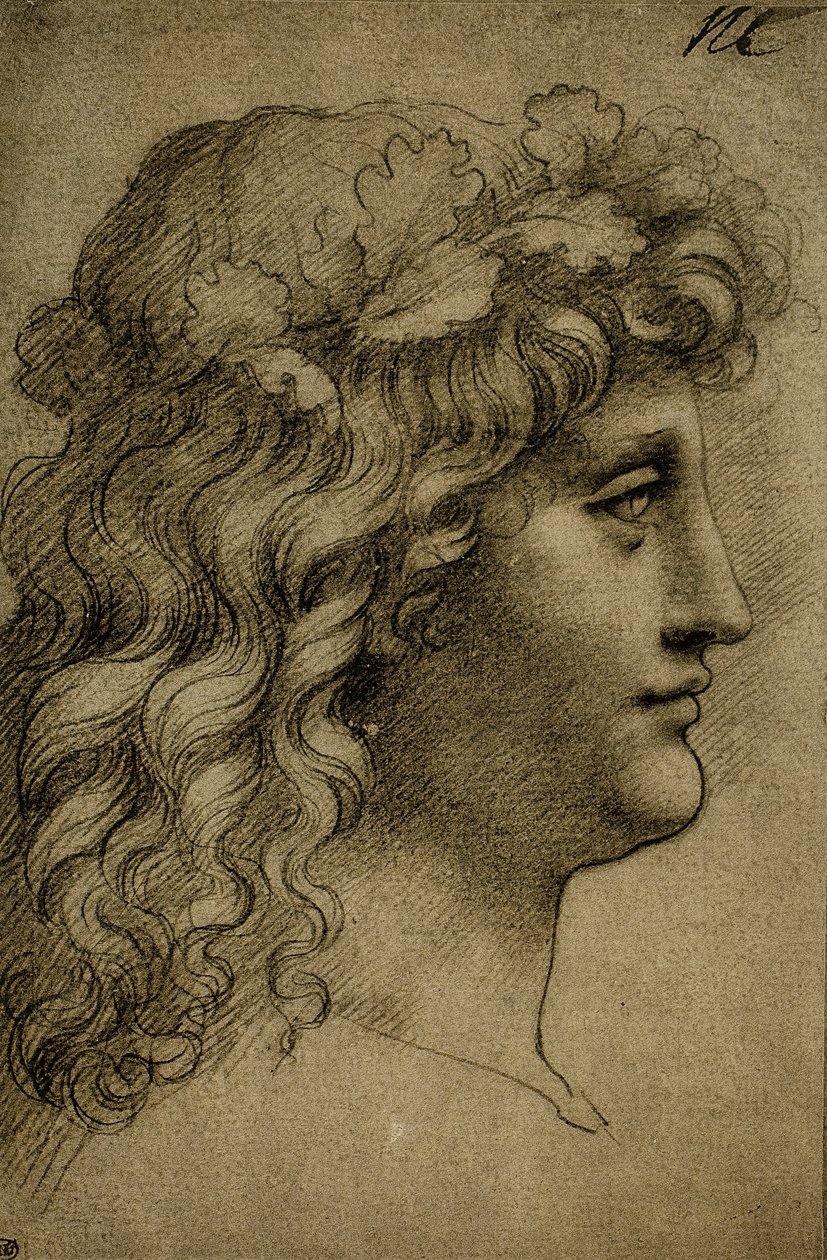 Cabeza de un joven de Leonardo da Vinci