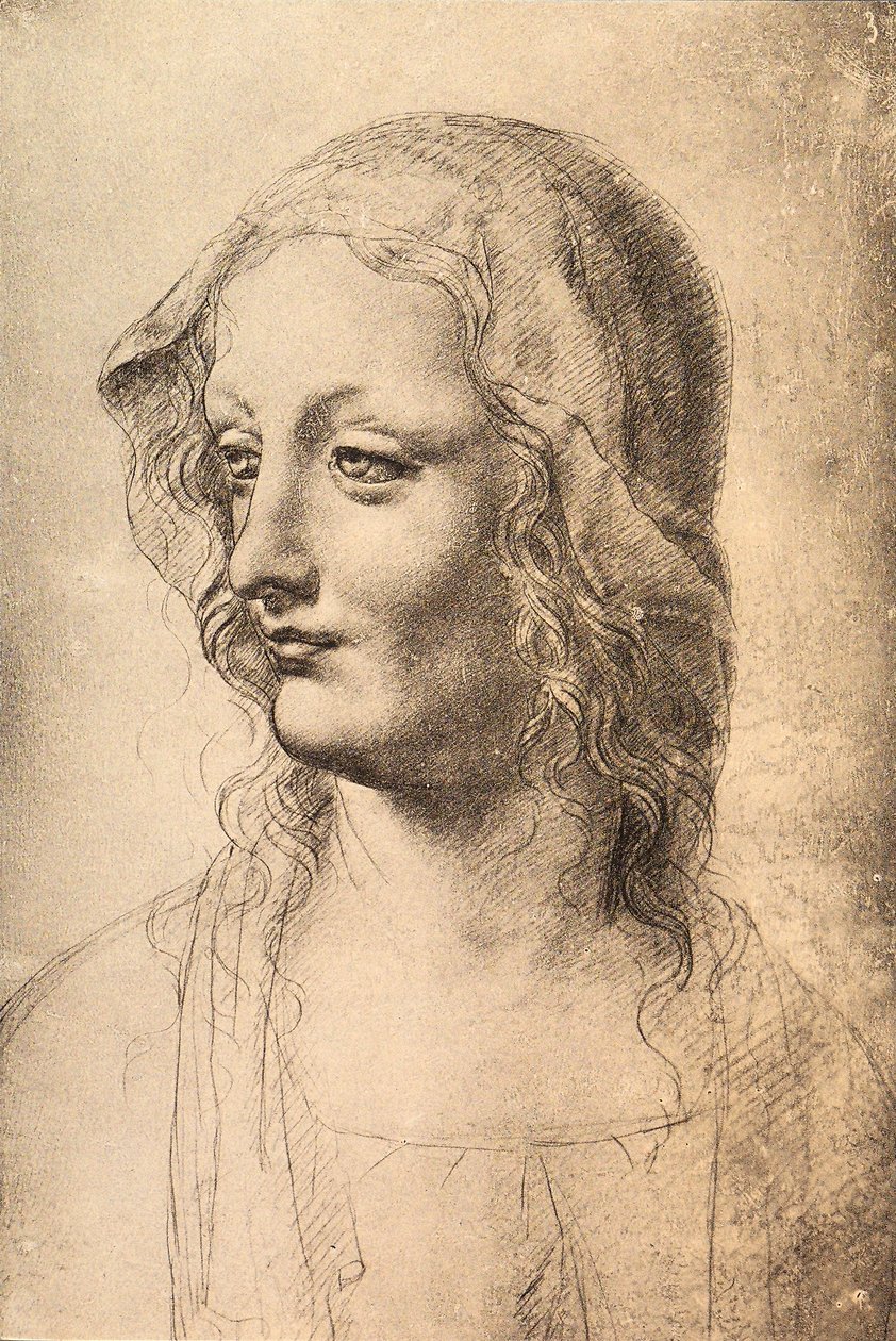 Cabeza de una joven, dibujo de Leonardo da Vinci, Gabinetto dei Disegni e Stampe, Uffizi, Florencia de Leonardo da Vinci