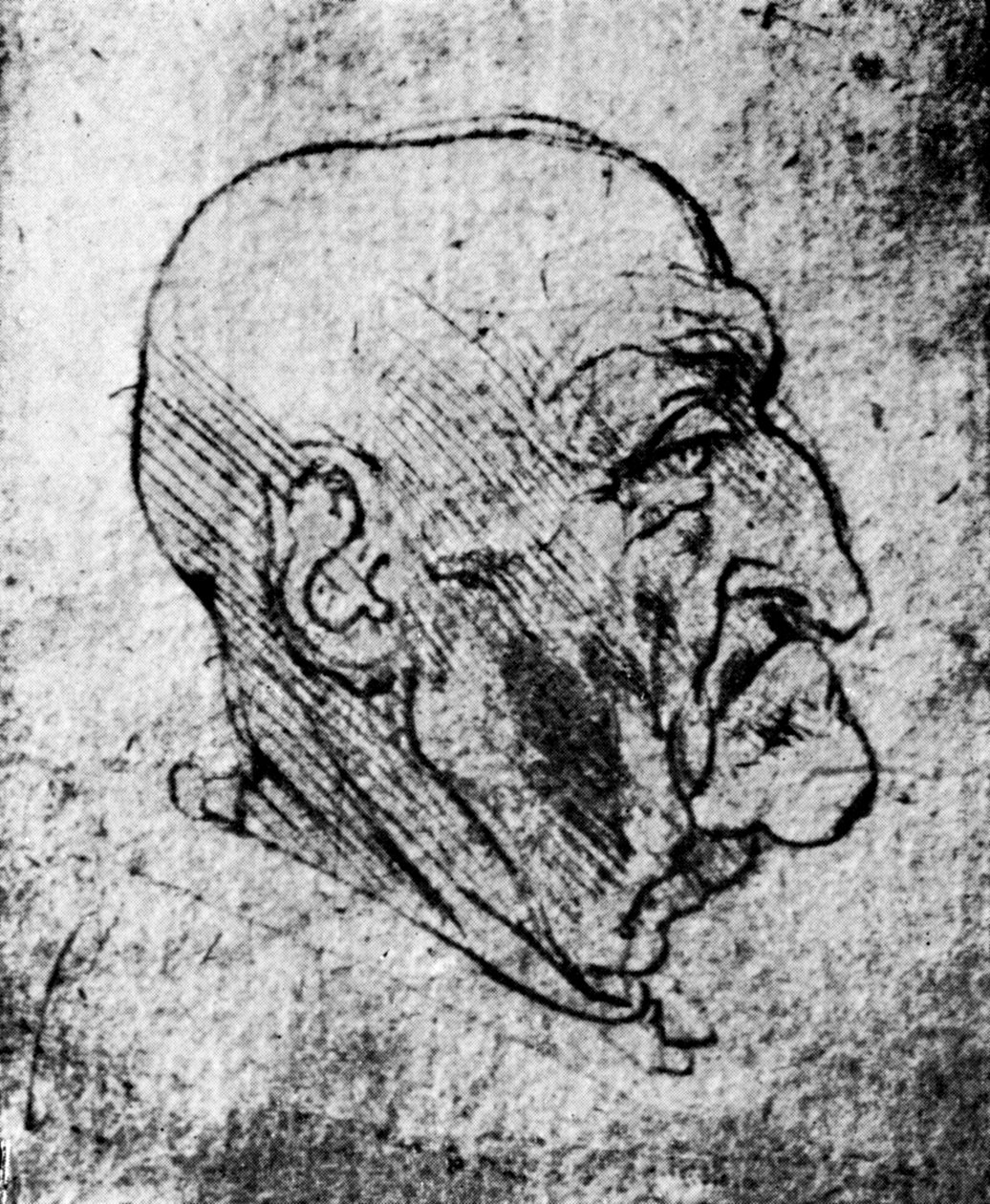 Cabeza de un anciano, 1913 de Leonardo da Vinci