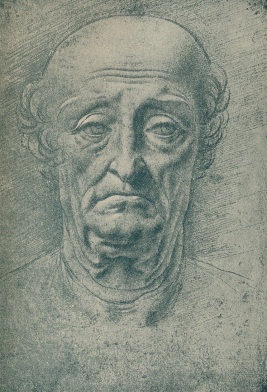 Cabeza de un anciano, siglo XV, 1932 de Leonardo da Vinci