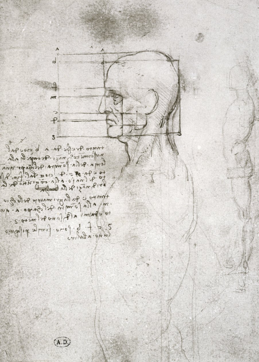 Cabeza de un Hombre Viejo en Perfil, copia facsímil de Leonardo da Vinci