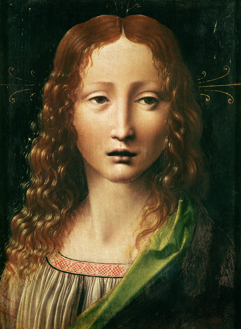 Cabeza del Salvador de Leonardo da Vinci