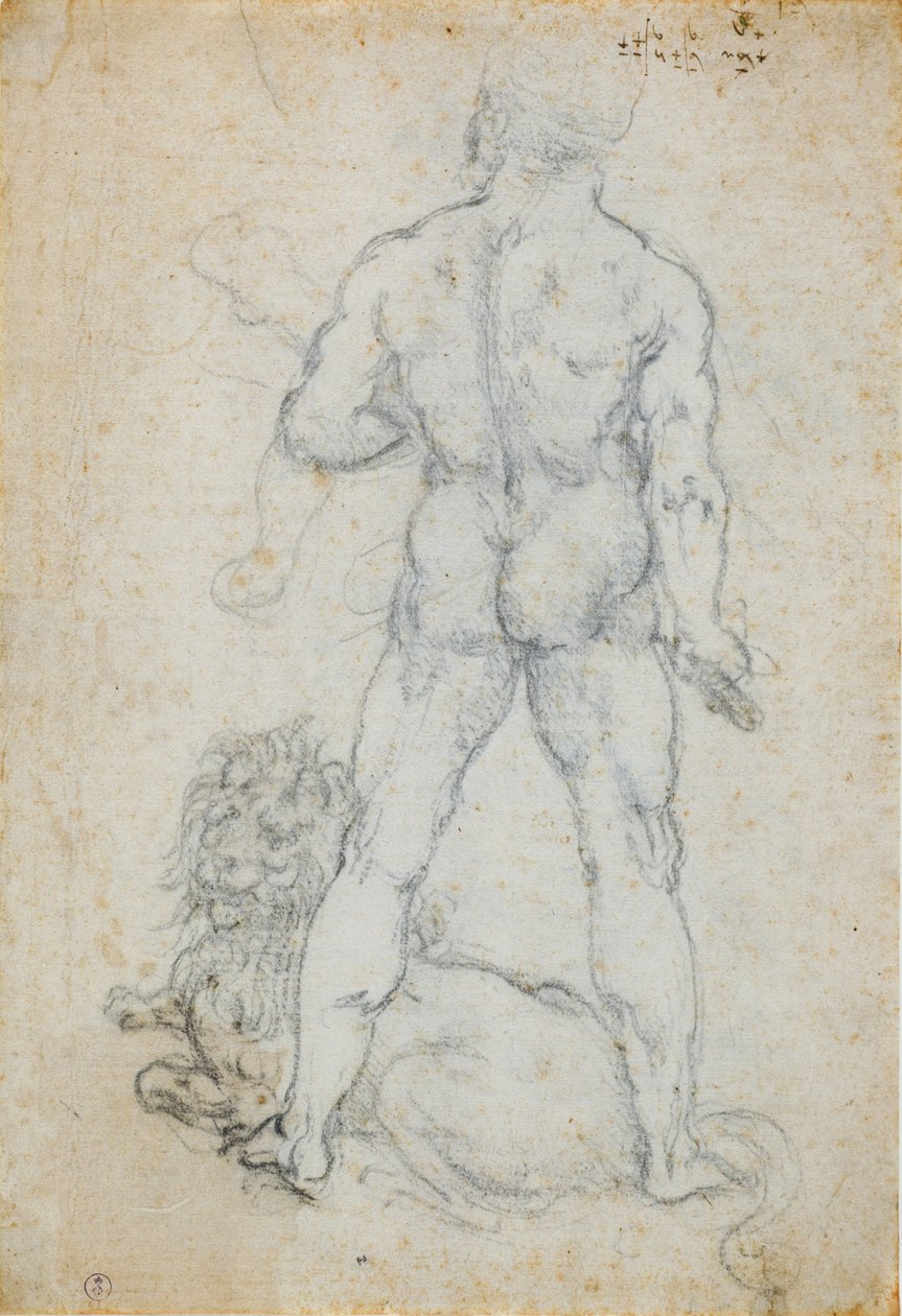 Hércules y el león de Nemea de Leonardo da Vinci