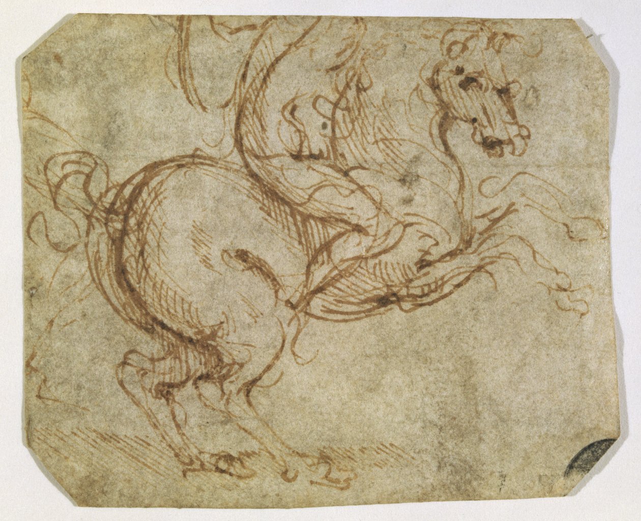 Caballo y caballero de Leonardo da Vinci