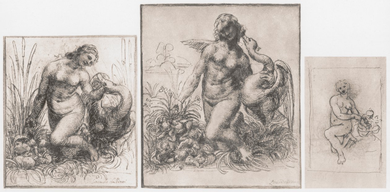 Leda y el cisne, c1504-1506 de Leonardo da Vinci