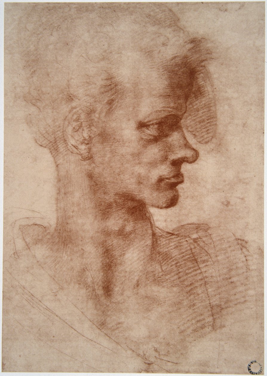 Leonardo da Vinci: Caricatura de retrato de un joven de Leonardo da Vinci