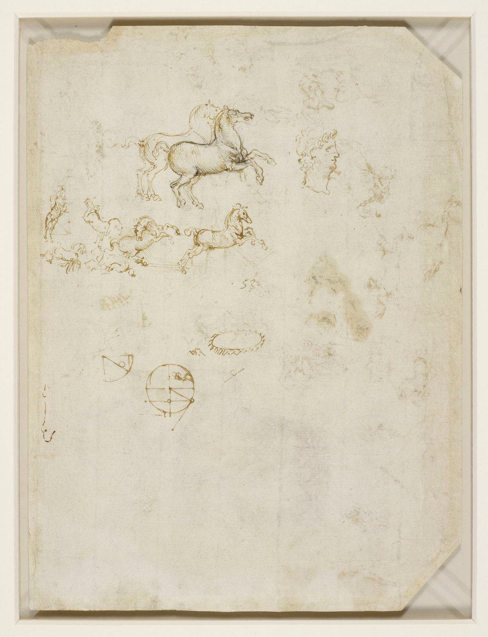 Leonardo da Vinci - Verso Caballos rampantes y cabeza de Nerón c.1503-4 de Leonardo da Vinci