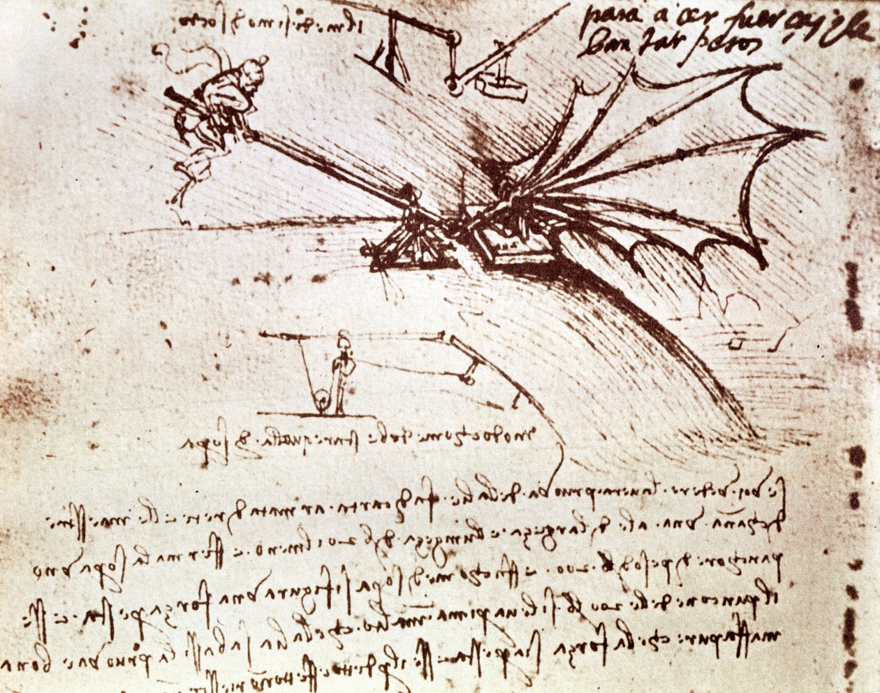 Prueba de la tolerancia de carga de un ala de Leonardo da Vinci