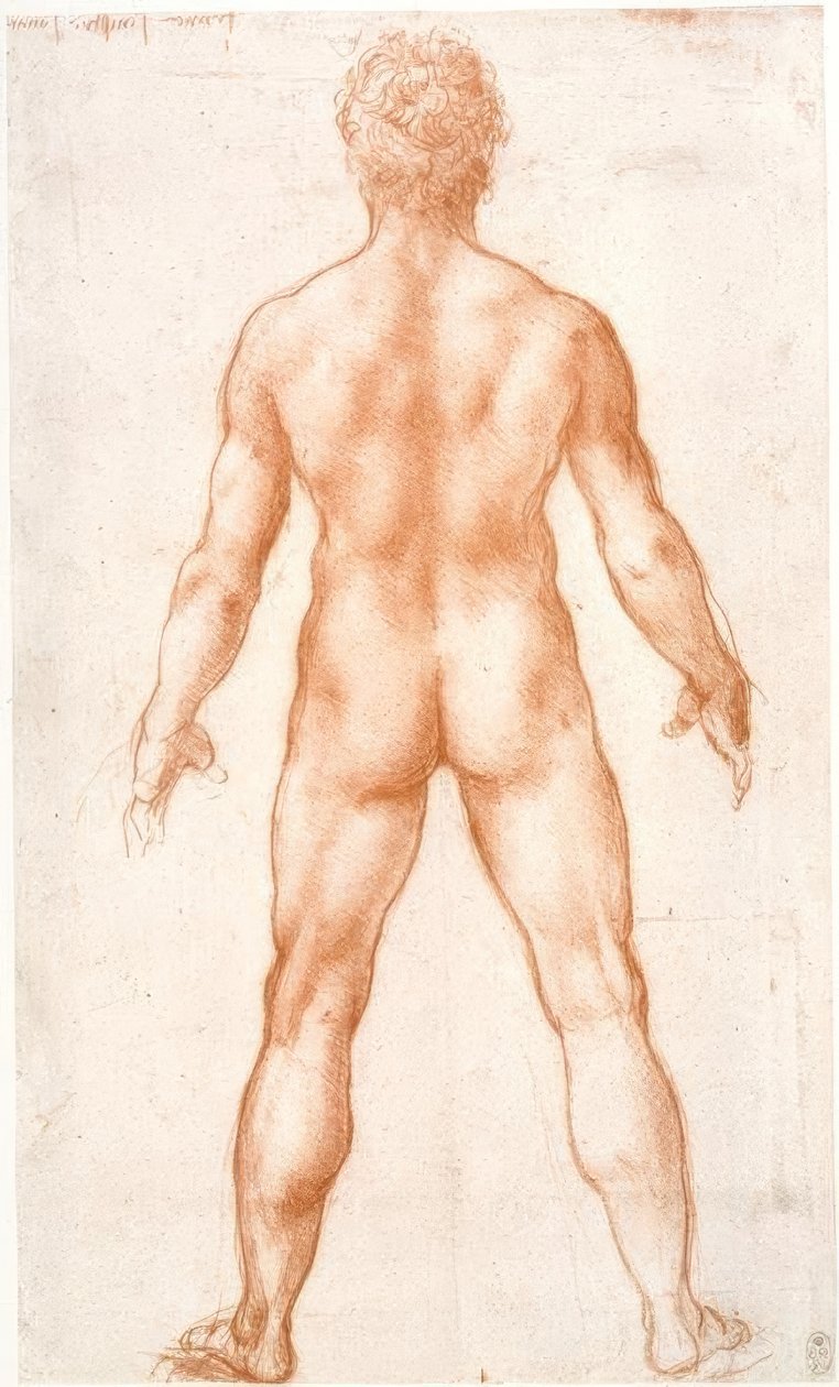 Desnudo masculino de espaldas de Leonardo da Vinci