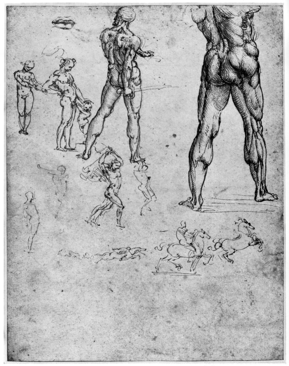 Estudios de desnudos para La batalla de Anghiari, c. 1503-1505 1954 de Leonardo da Vinci