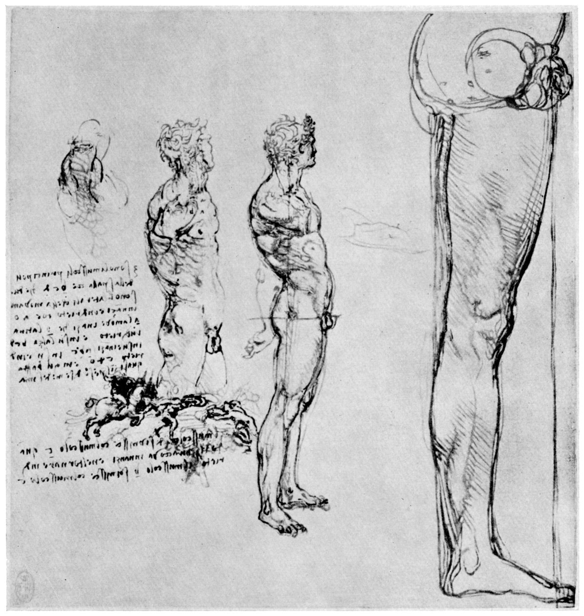 Estudios de desnudos para La Batalla de Anghiari, c1503-1505 de Leonardo da Vinci