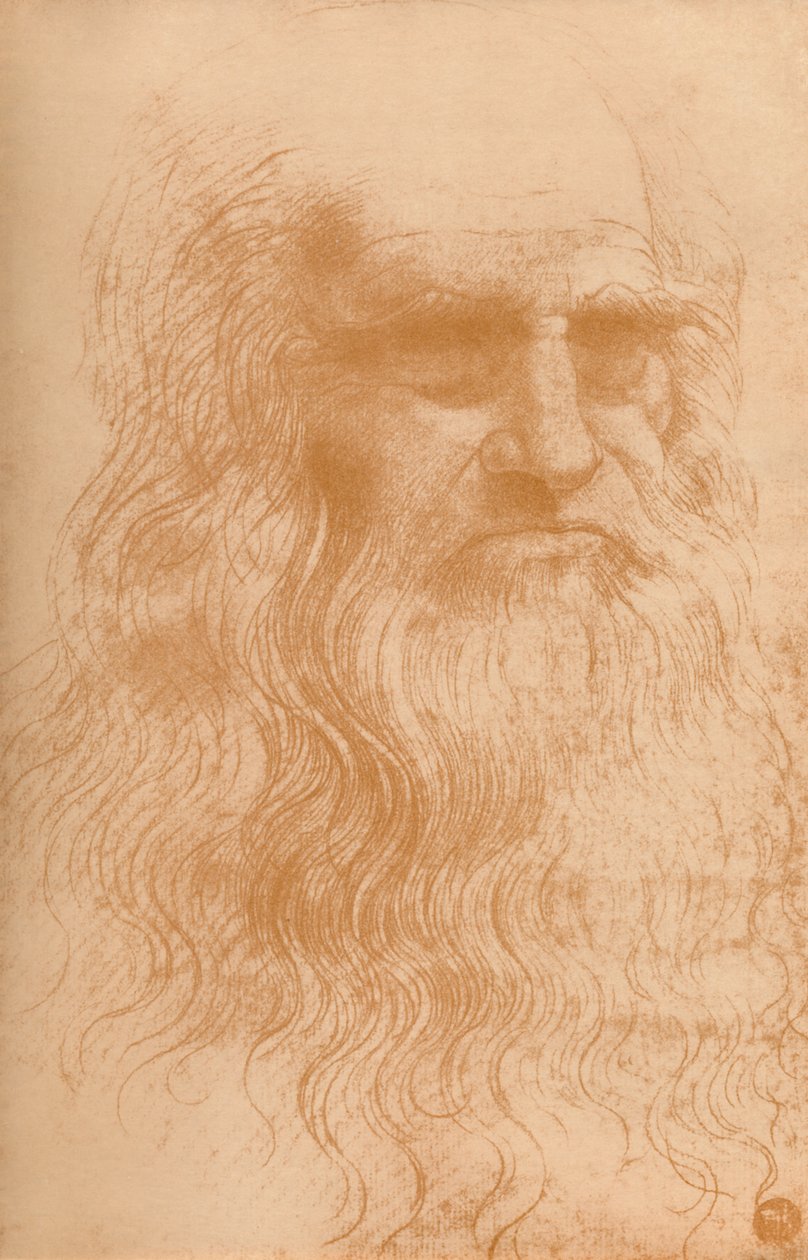 Retrato de un hombre en tiza roja, c. 1512, 1932 de Leonardo da Vinci