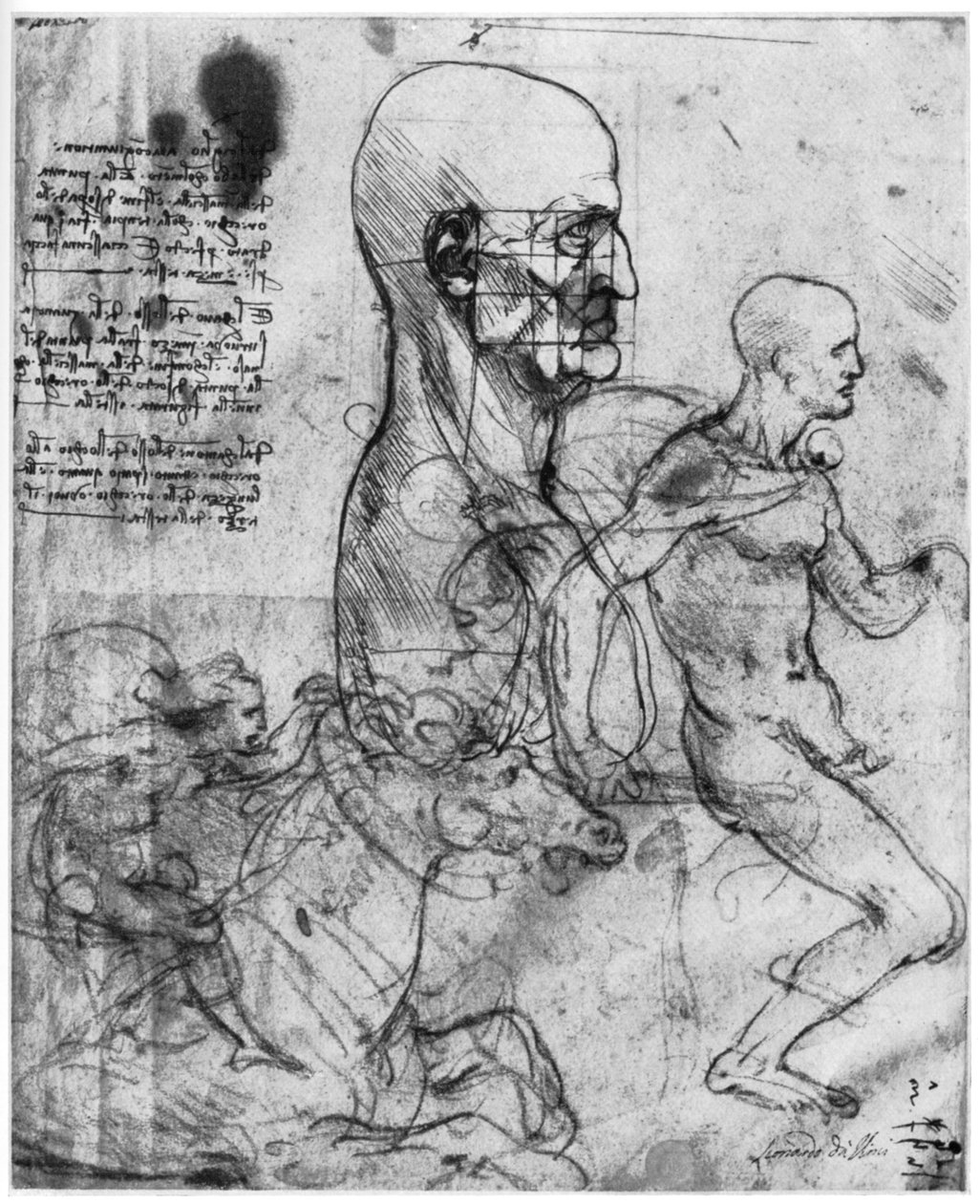 Perfil de la cabeza de un hombre y estudios de dos jinetes, c1490 y c1504 1954 de Leonardo da Vinci