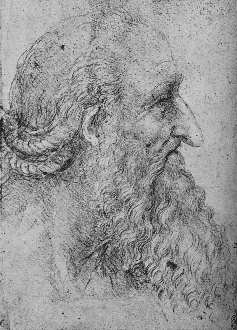 Perfil de un hombre viejo y barbudo a la derecha, c1480 1945 de Leonardo da Vinci
