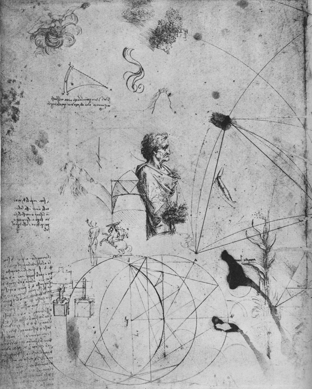 Perfil de un anciano, plantas, figuras geométricas, etc., c1480 1945 de Leonardo da Vinci