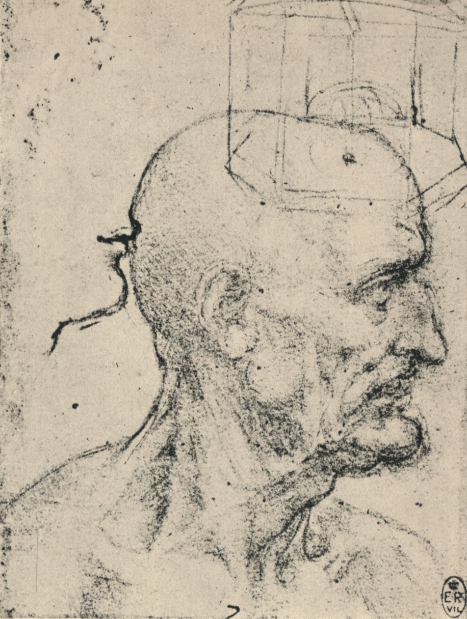 Perfil a la derecha de un hombre calvo, c1480 1945 de Leonardo da Vinci