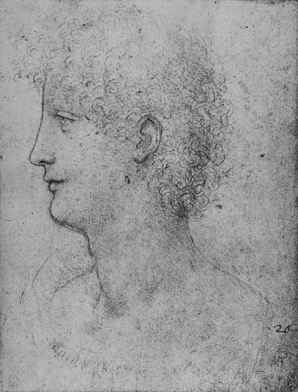 Perfil a la izquierda de un joven de cabello rizado, c1480 1945 de Leonardo da Vinci