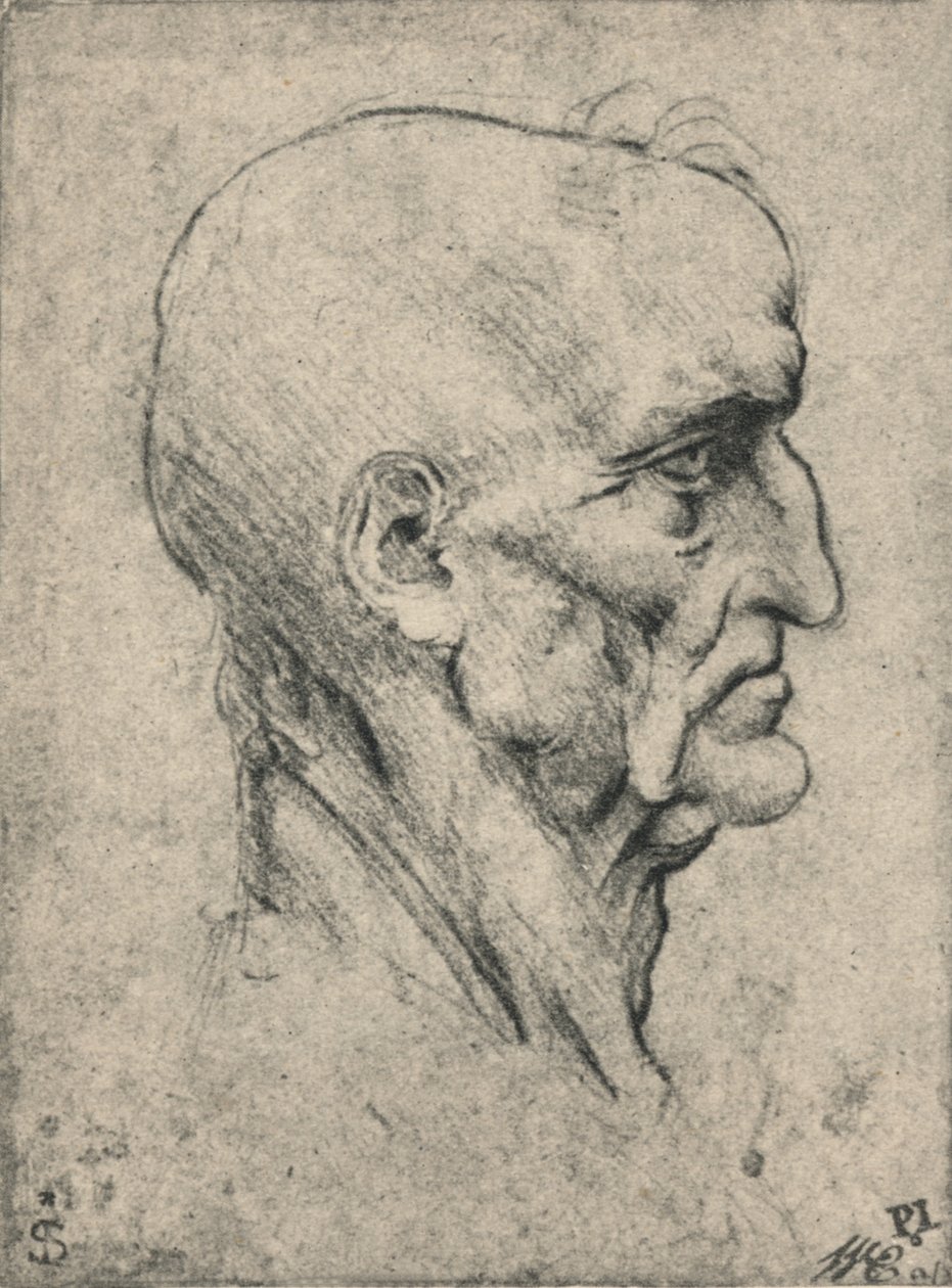 Perfil a la derecha de un hombre mayor calvo, c. 1480 de Leonardo da Vinci