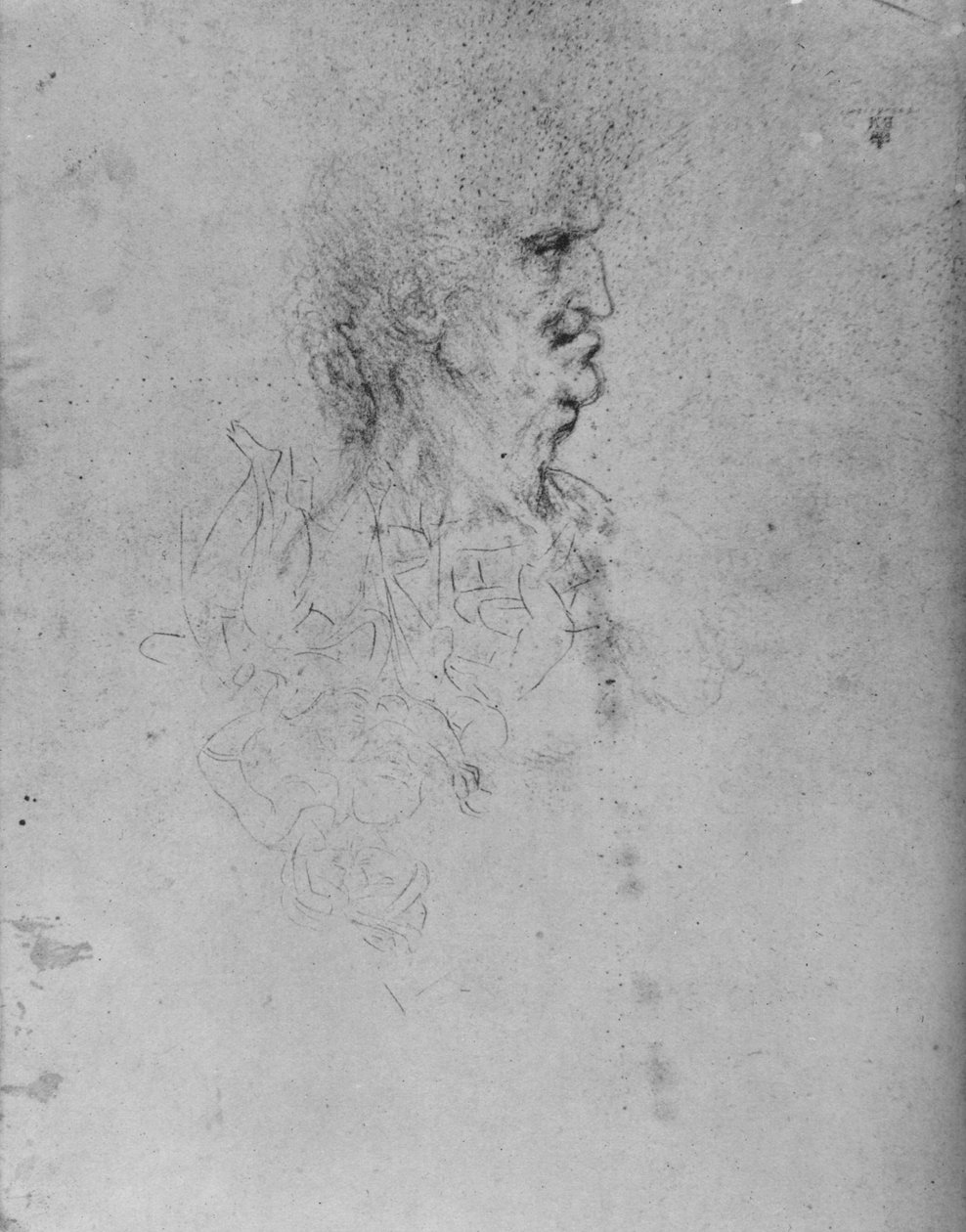 Perfil a la derecha de un anciano, c1480 1945 de Leonardo da Vinci
