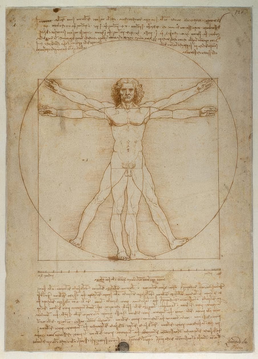 Esquema de proporciones de la figura humana según Vitruvio de Leonardo da Vinci