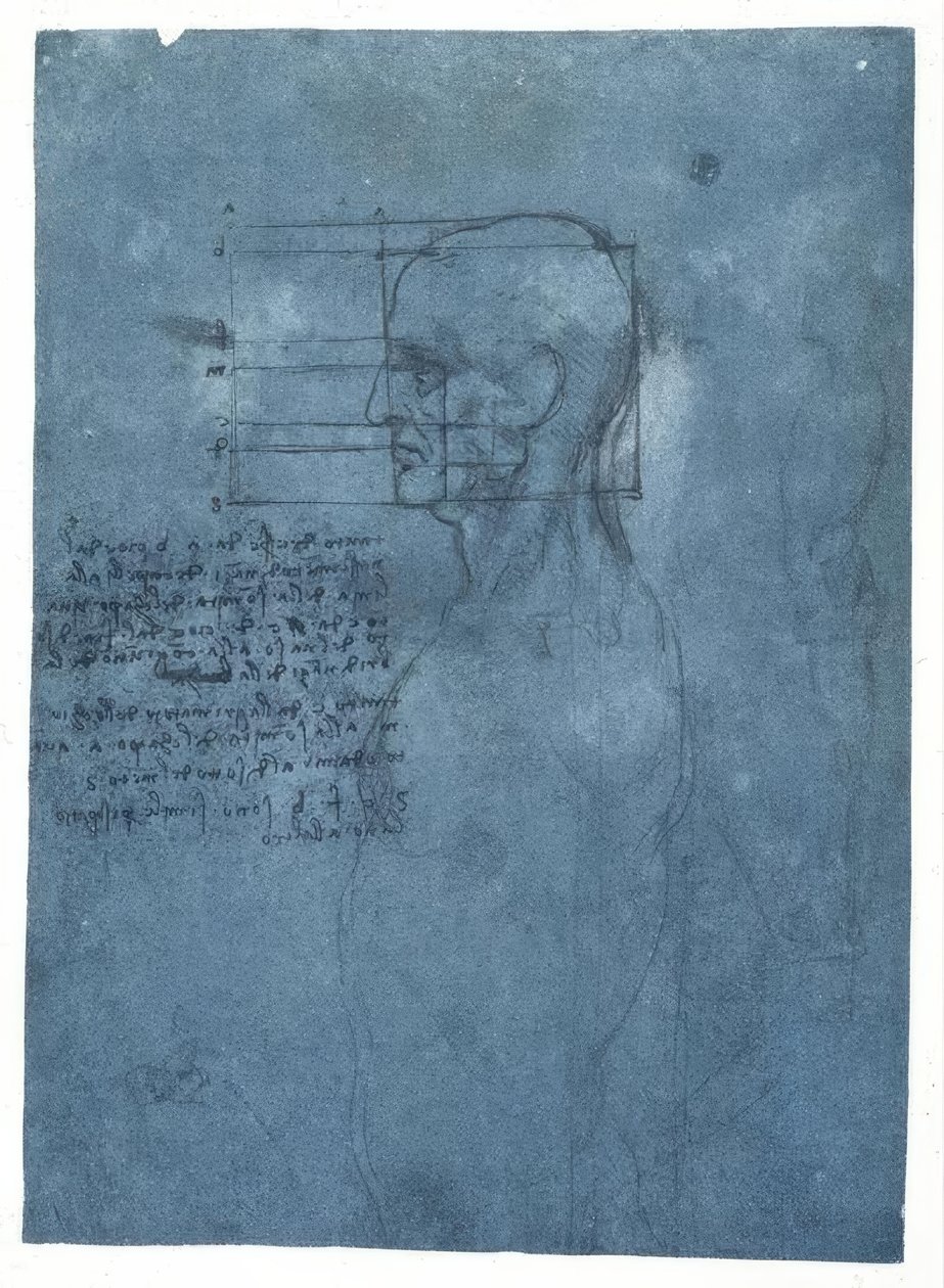 Estudio de proporciones de una cabeza masculina de perfil de Leonardo da Vinci