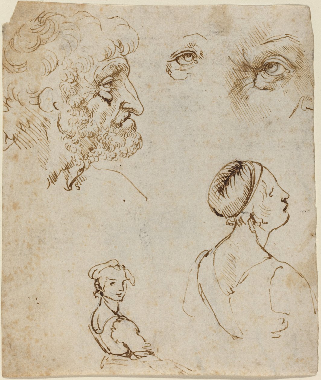 Hoja de estudios de Leonardo da Vinci
