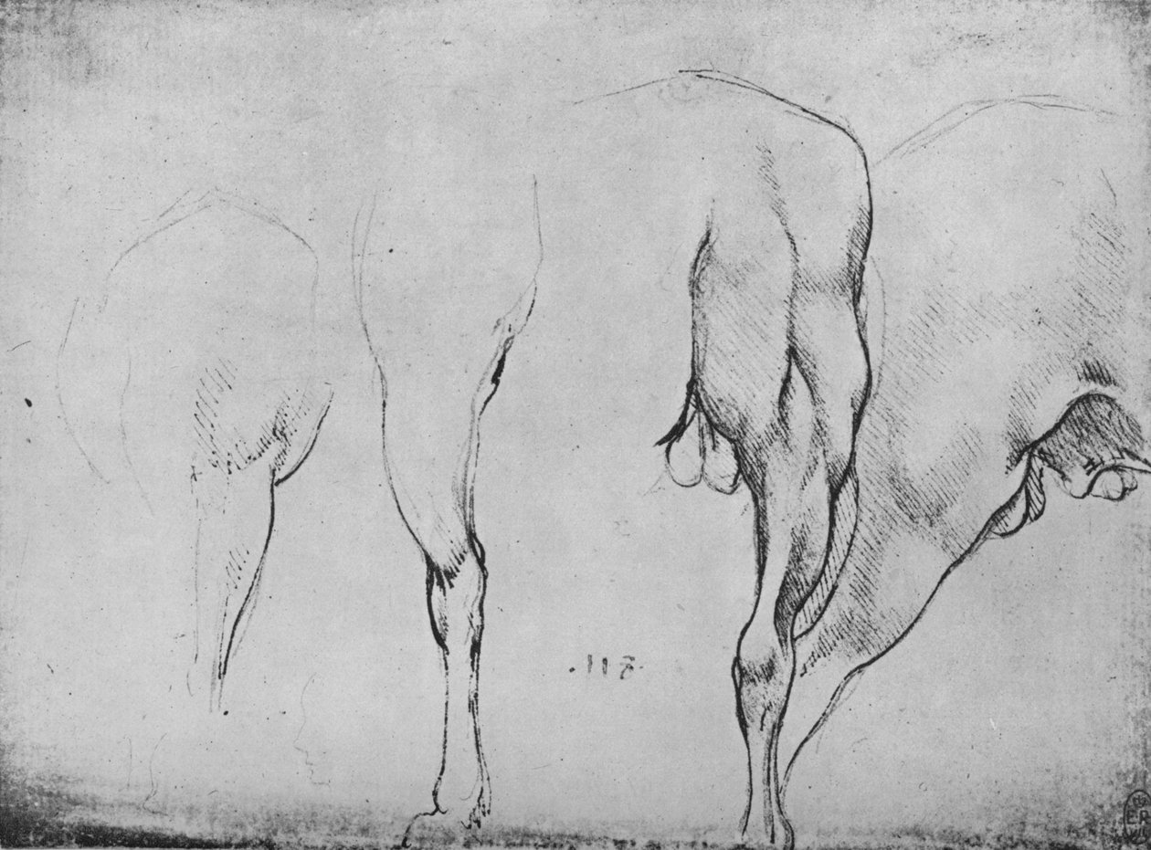 Estudios de patas de caballos, c1480 1945 de Leonardo da Vinci