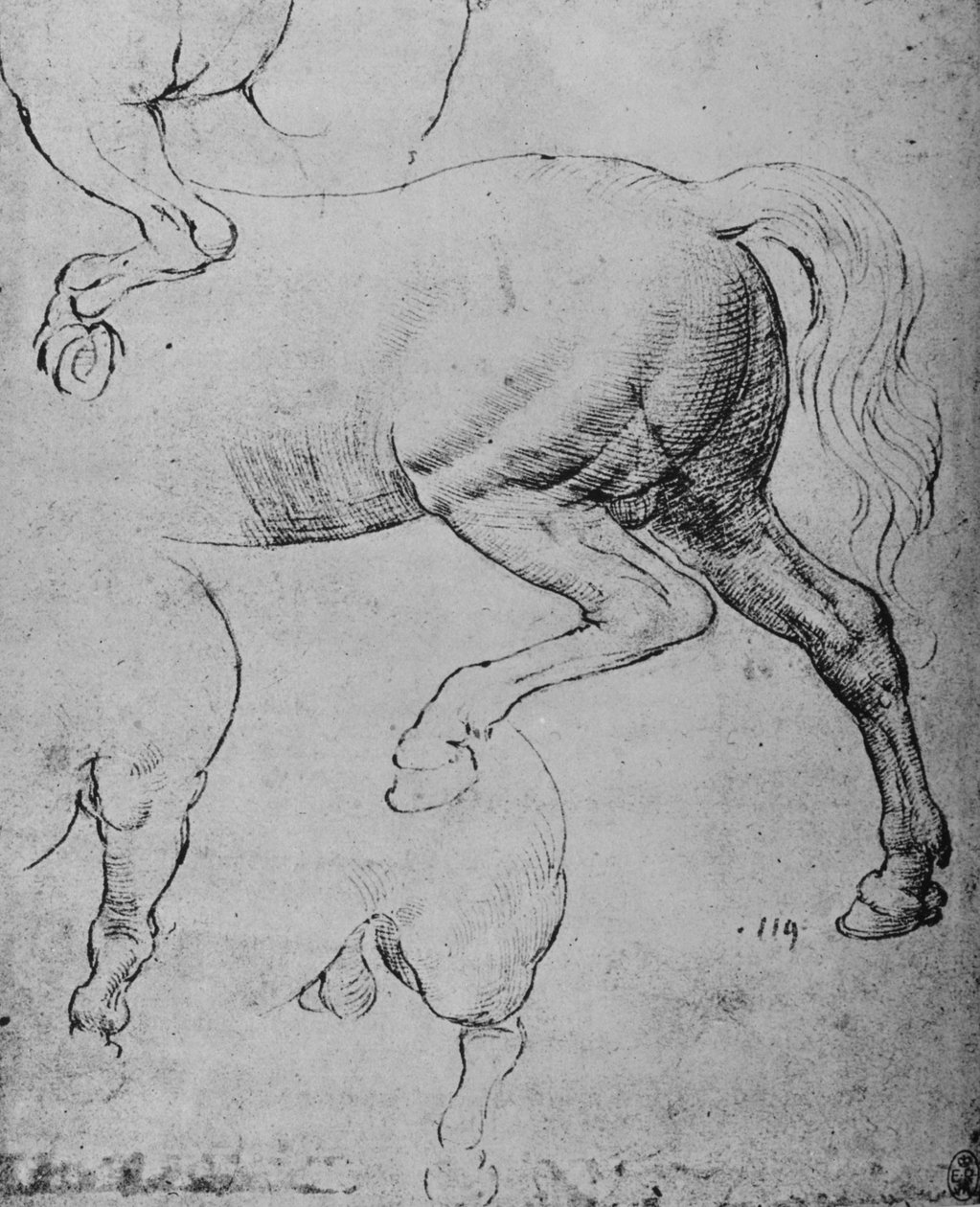 Estudios de las cuartas traseras y de las patas traseras de un caballo, c1480 1945 de Leonardo da Vinci