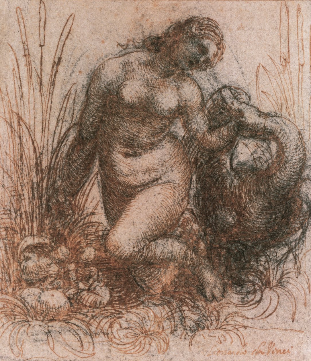 Estudio para Leda y el cisne de Leonardo da Vinci