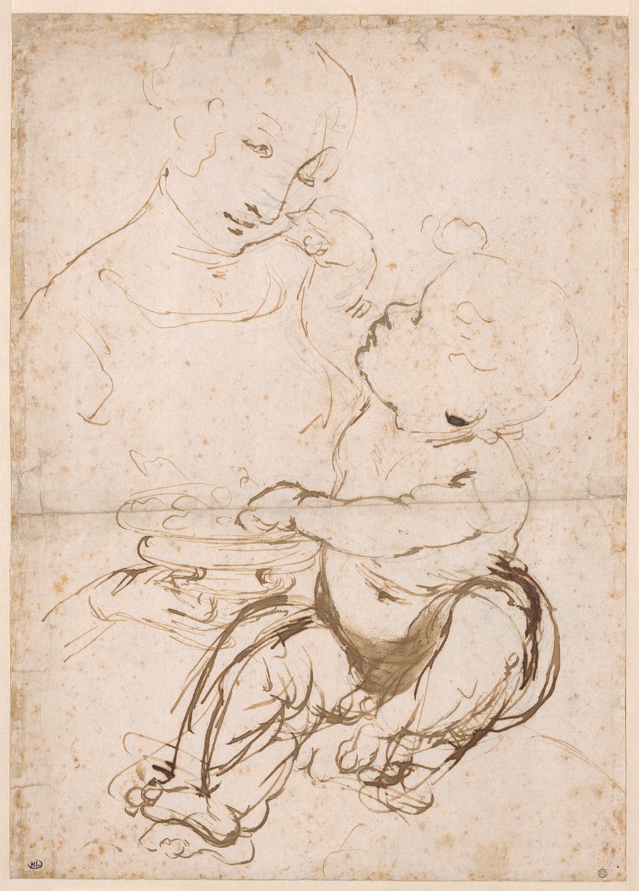 Estudio para la Madonna con un Cuenco de Frutas, ca. 1478 de Leonardo da Vinci