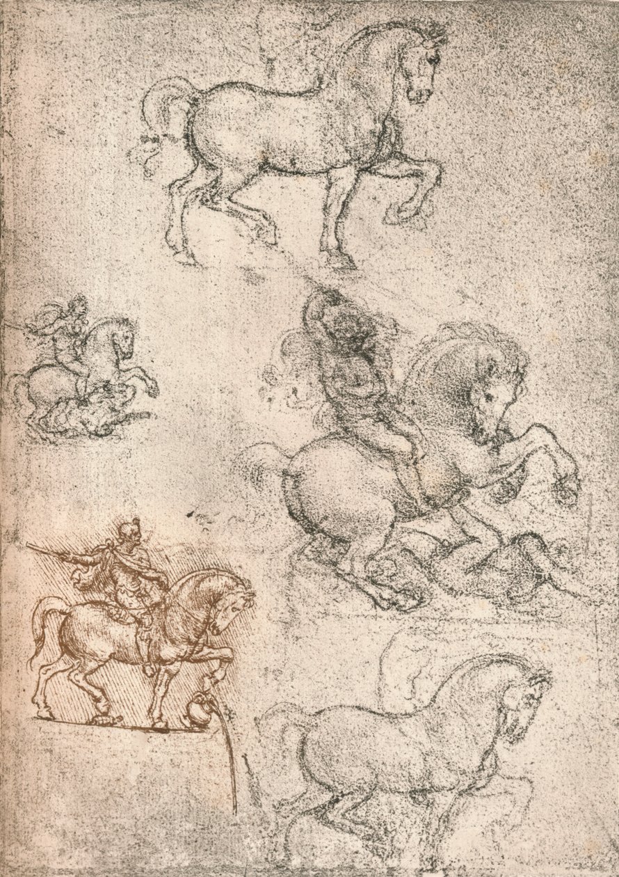 Estudio para el Monumento Sforza de Leonardo da Vinci