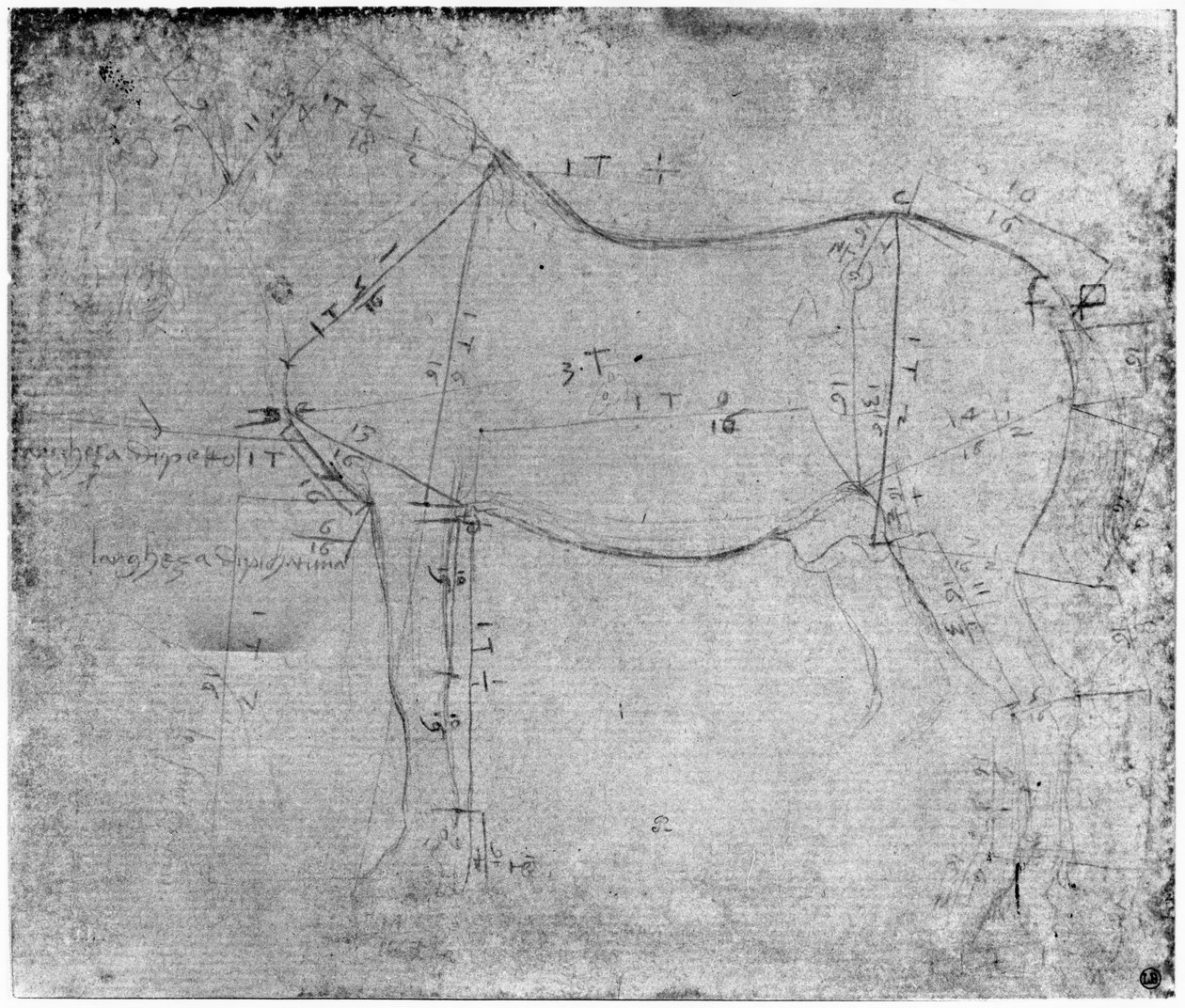 Estudio de un caballo de Leonardo da Vinci