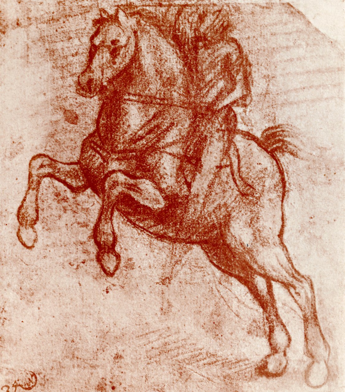 Estudio de un Caballero, por Leonardo Da Vinci, 1913 de Leonardo da Vinci