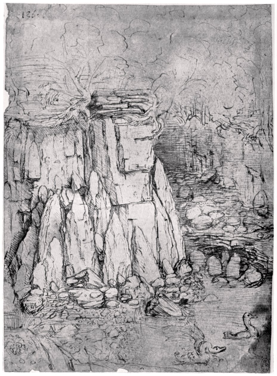 Estudio de una caverna rocosa con patos, 1482-1485 de Leonardo da Vinci