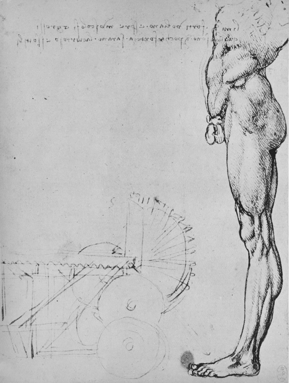 Estudio de la mitad inferior de un hombre y de maquinaria, c1480 1945 de Leonardo da Vinci