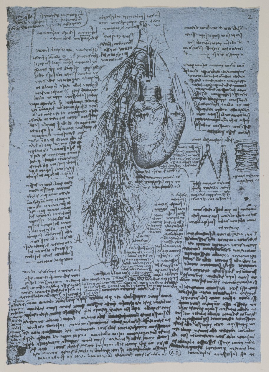 El corazón y las arterias bronquiales, facsímil del libro de Windsor de Leonardo da Vinci
