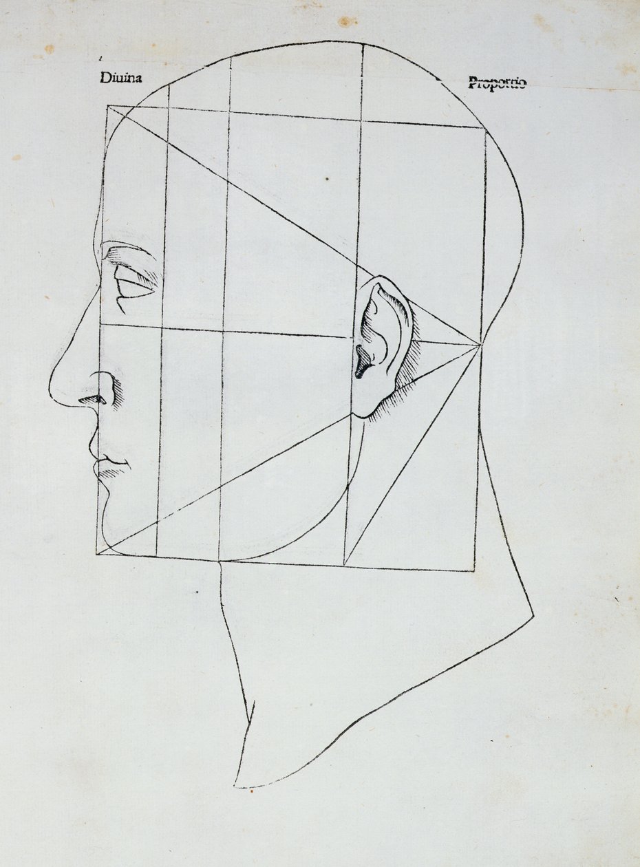 La Cabeza Humana, ilustración para 