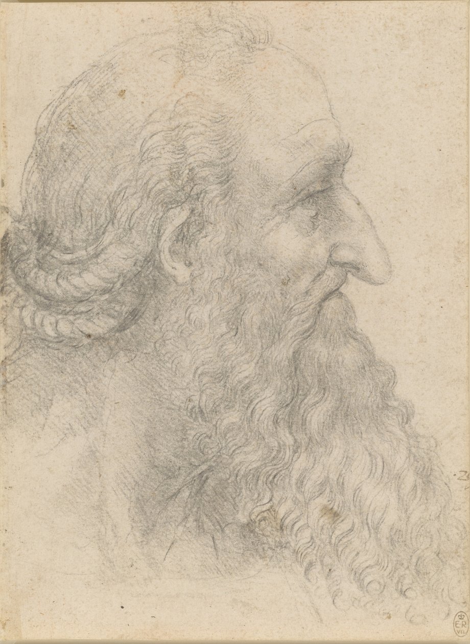 La cabeza de un anciano con barba, ca 1517 de Leonardo da Vinci