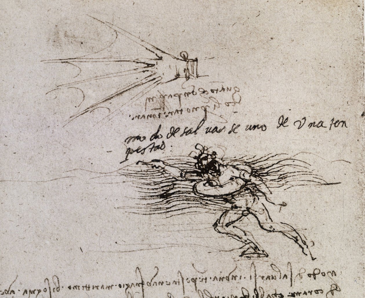 La palma y la boya, Códice Atlántico de Leonardo da Vinci