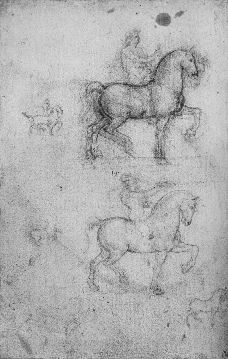 Dos estudios de caballos y jinetes y estudios más pequeños de caballos, c1480 1945 de Leonardo da Vinci