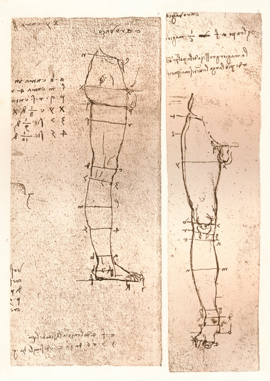 Dos dibujos que ilustran la teoría de las proporciones de la figura humana, c1472-c1519 1883 de Leonardo da Vinci