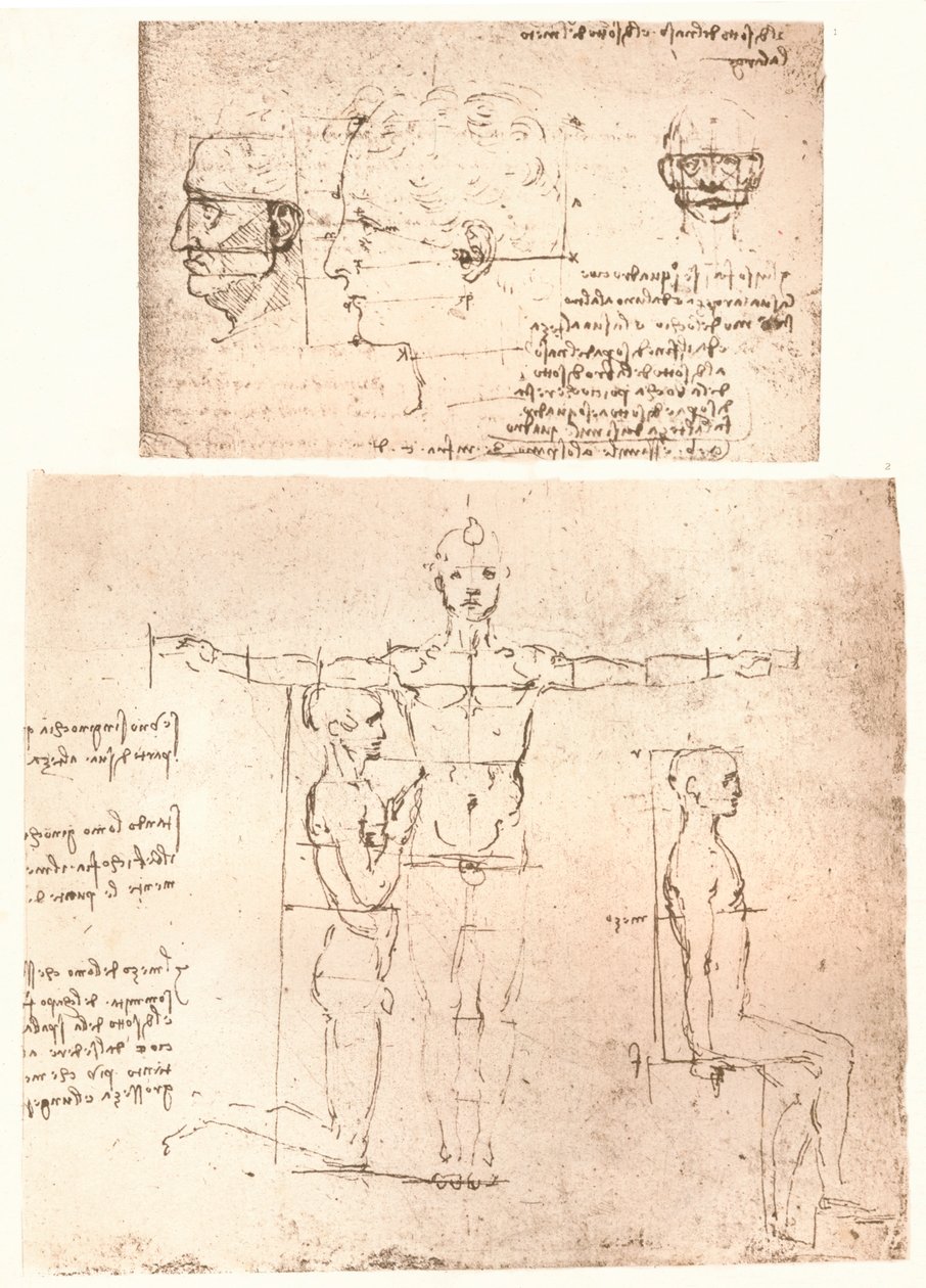 Dos dibujos que ilustran la teoría de las proporciones de la figura humana, c. 1472-c. 1519, 1883 de Leonardo da Vinci