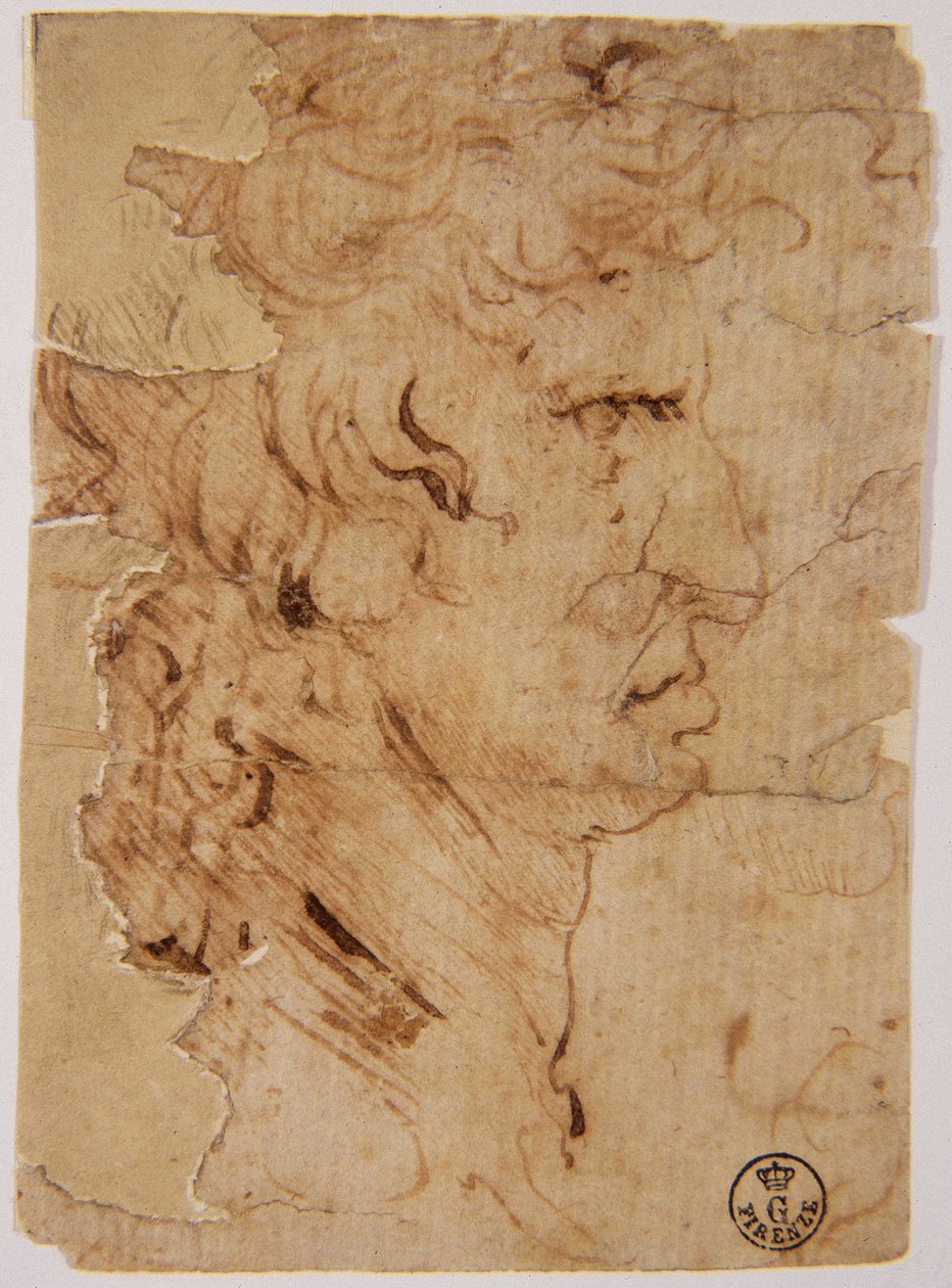 Imagen desconocida de Leonardo da Vinci