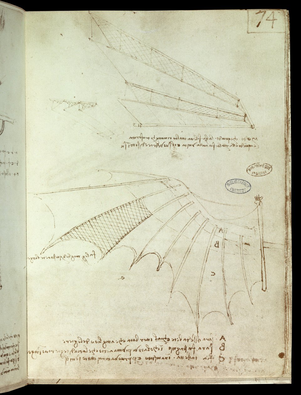Ala. Dibujo de máquina voladora de Leonardo da Vinci